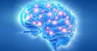 ذهن آگاهی | تکنیک و ترفندهای ذهن آگاهی و تمرینات مخصوص آن