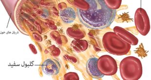 روش هایی عالی برای درمان کمبود پلاکت خون