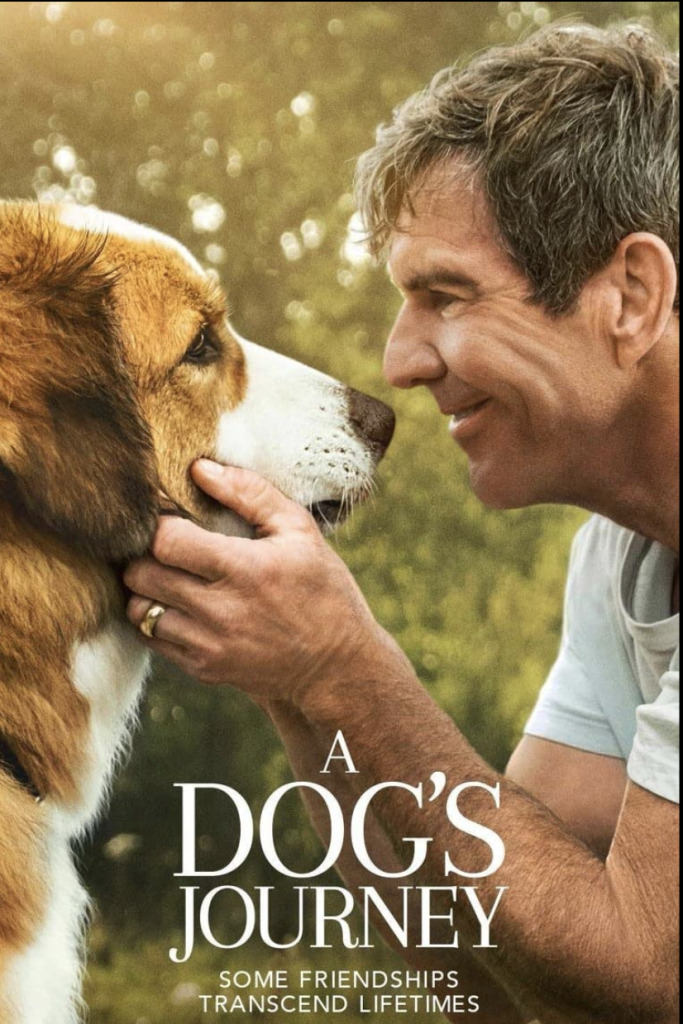 فیلم سینمایی درباره سگها
