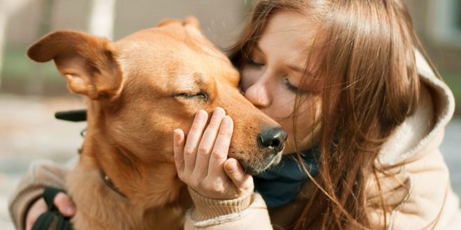۸ بهترین نژاد سگ برای افراد افسرده