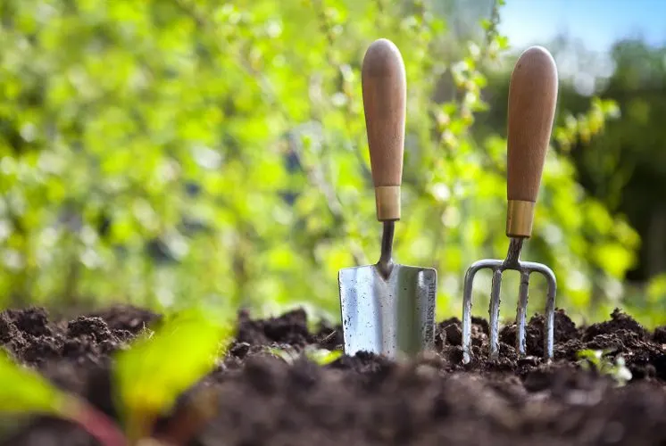 اسم برای پیج کاری باغبانی